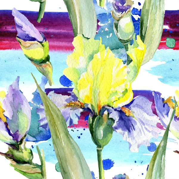 Púrpura íris amarelas fundo. Flores botânicas desenhadas à mão. Conjunto de ilustração de fundo aquarela. Desenho aquarelle moda aquarelle . — Fotografia de Stock