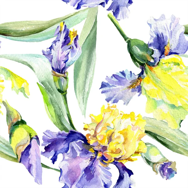 Purple yellow irises background. Hand drawn botanical flowers. Watercolor background illustration set. Watercolour drawing fashion aquarelle. — Stock Photo