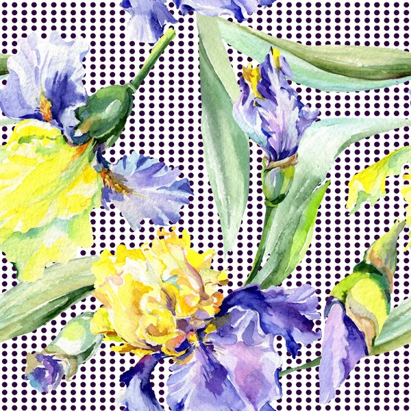 Purple yellow irises background. Hand drawn botanical flowers. Watercolor background illustration set. Watercolour drawing fashion aquarelle. — Stock Photo