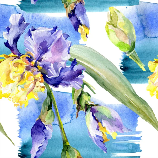 Fondo de iris amarillo púrpura. Flores botánicas hechas a mano. Conjunto de ilustración de fondo acuarela. Acuarela dibujo moda aquarelle . - foto de stock