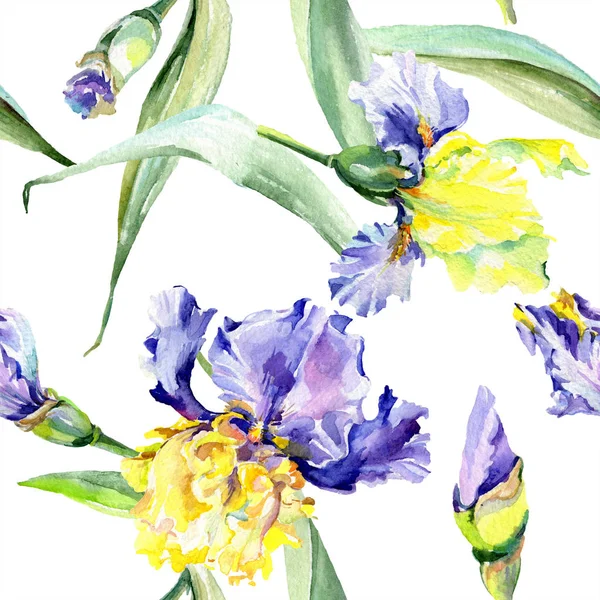 Purple yellow irises background. Hand drawn botanical flowers. Watercolor background illustration set. Watercolour drawing fashion aquarelle. — Stock Photo