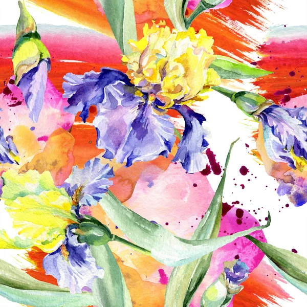 Violet iris jaune fond. Fleurs botaniques dessinées à la main. Ensemble d'illustration de fond aquarelle. Aquarelle dessin mode aquarelle . — Photo de stock
