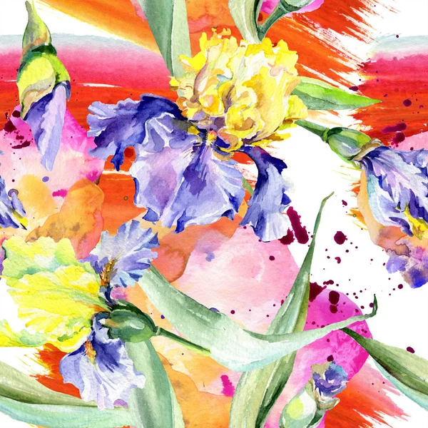 Fondo de iris amarillo púrpura. Flores botánicas hechas a mano. Conjunto de ilustración de fondo acuarela. Acuarela dibujo moda aquarelle . - foto de stock