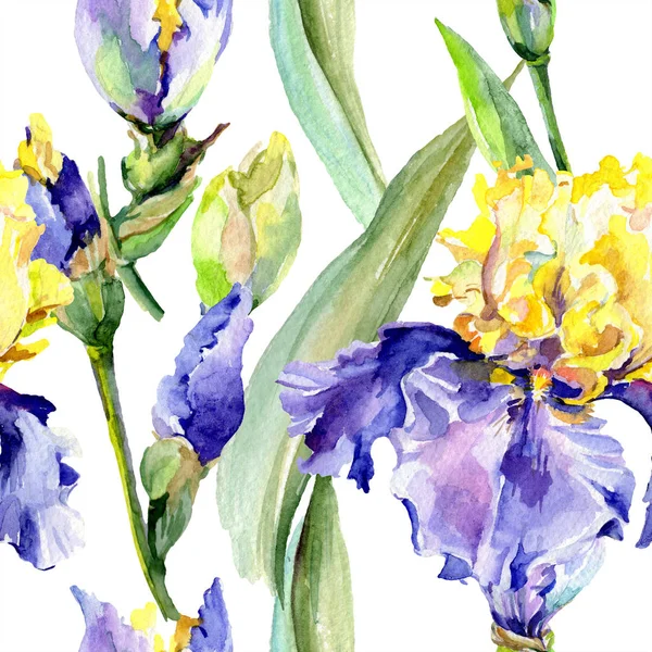 Lila gelbe Schwertlilien Hintergrund. handgezeichnete botanische Blumen. Aquarell Hintergrundillustration Set. Aquarellzeichnung Mode-Aquarell. — Stockfoto