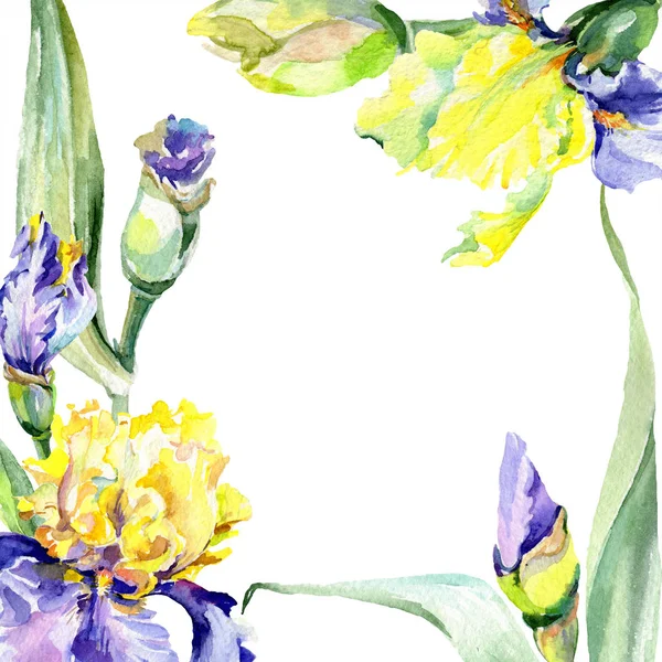 Purple yellow irises background. Hand drawn botanical flowers. Watercolor background illustration set. Watercolour drawing fashion aquarelle. — Stock Photo