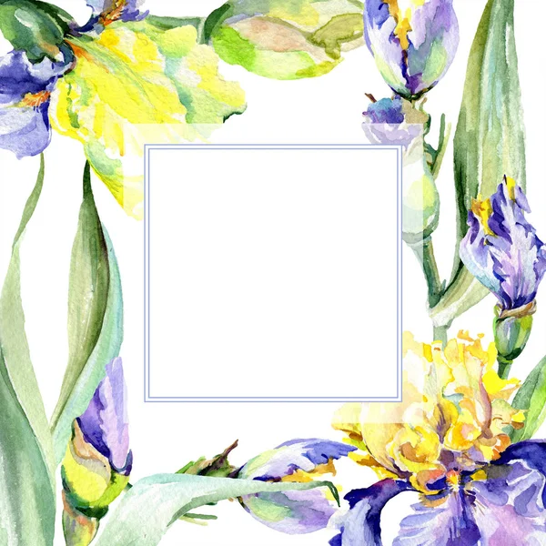 Cornice con iris viola e gialli. Acquerello sfondo illustrazione set con fiori. Acquerello disegno moda acquerello . — Foto stock