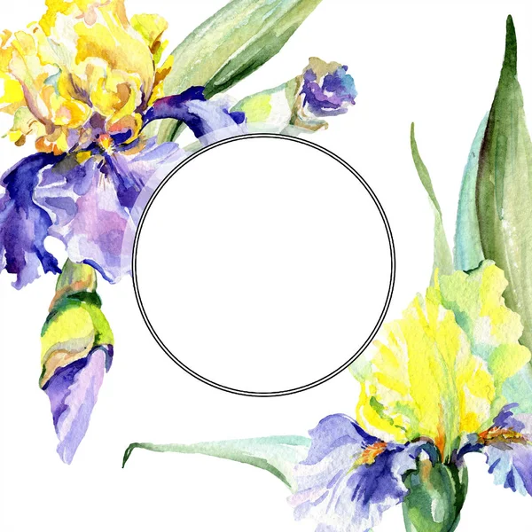 Rahmen mit lila und gelben Schwertlilien. Aquarell Hintergrund Illustration mit Blumen gesetzt. Aquarellzeichnung Mode-Aquarell. — Stockfoto