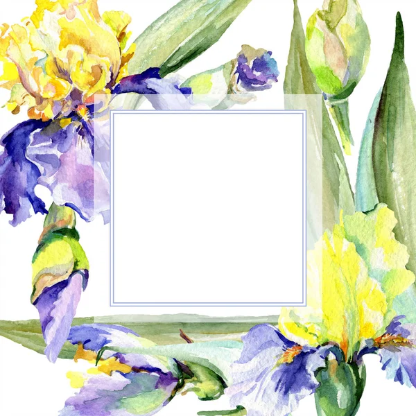 Marco con iris púrpura y amarillo. Ilustración de fondo de acuarela con flores. Acuarela dibujo moda aquarelle . - foto de stock