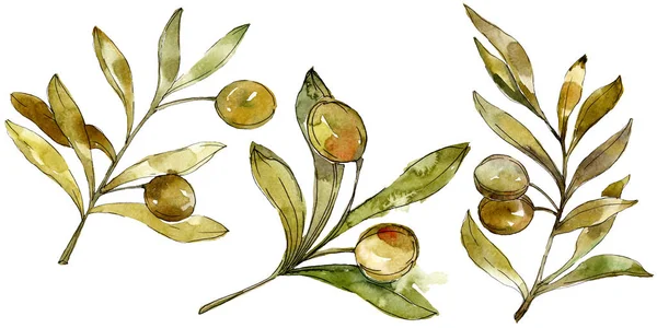Grüne Oliven Aquarell Hintergrund. Aquarellzeichnung Modeaquarell isoliert. isolierte Oliven Illustrationselement. — Stockfoto