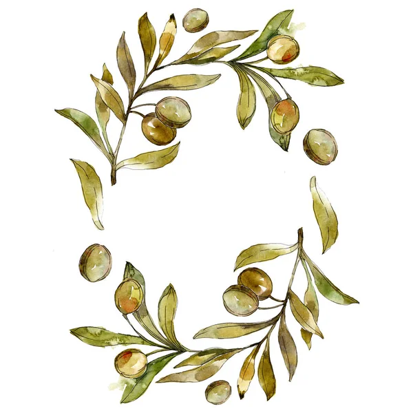 Rahmen mit grünen Oliven Aquarell Hintergrund Illustration Set. Aquarell Zeichnung Mode Aquarell isoliert. — Stockfoto