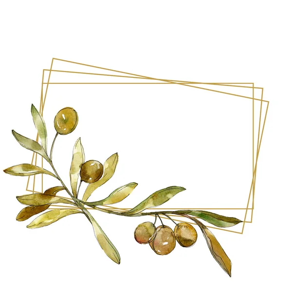 Green olives watercolor background illustration set. Watercolour drawing fashion aquarelle isolated. Frame border — Stock Photo