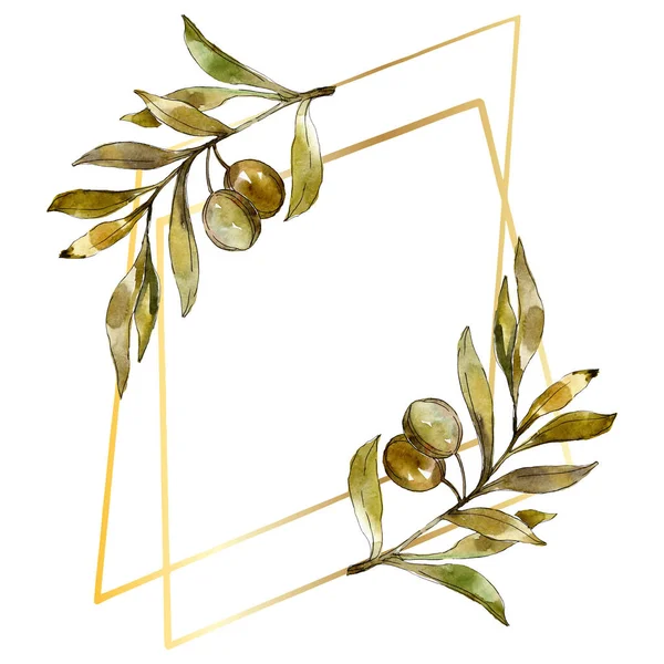 Grüne Oliven Aquarell Hintergrund Illustrationsset. Aquarellzeichnung Modeaquarell isoliert. Rahmenrand — Stockfoto