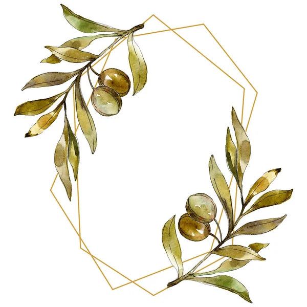 Green olives watercolor background illustration set. Watercolour drawing fashion aquarelle isolated. Frame border — Stock Photo