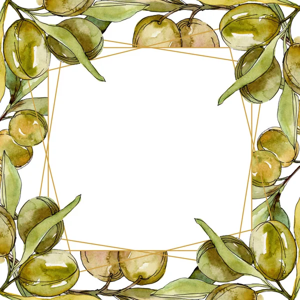 Frame with Green olives and leaves watercolor background illustration set. Watercolour drawing fashion aquarelle isolated. — Stock Photo