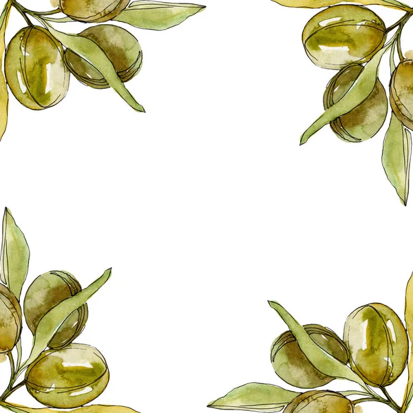 Frame with Green olives and leaves watercolor background illustration set. Watercolour drawing fashion aquarelle isolated. — Stock Photo