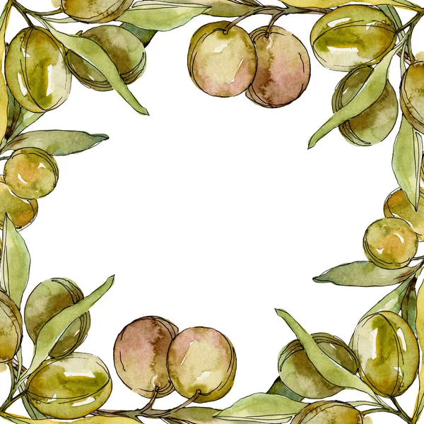 Rahmen mit grünen Oliven und Blättern Aquarell Hintergrund Illustration Set. Aquarell Zeichnung Mode Aquarell isoliert. — Stockfoto