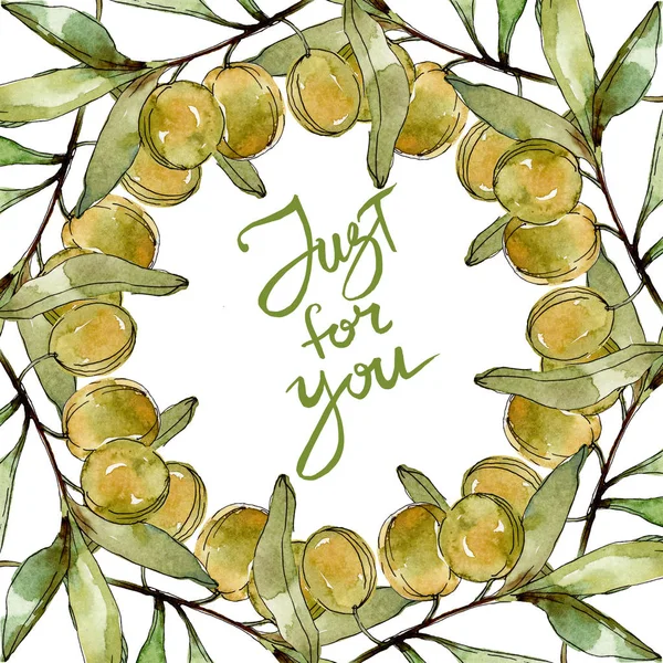 Olives vertes aquarelle fond illustration ensemble. Aquarelle dessin aquarelle. Feuillage de jardin botanique à feuilles vertes. Cadre bordure ornement carré. Juste pour vous écriture calligraphie monogramme . — Photo de stock