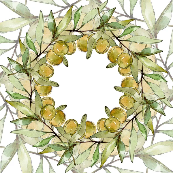 Frame with Green olives and leaves watercolor background illustration set. Watercolour drawing fashion aquarelle isolated. — Stock Photo