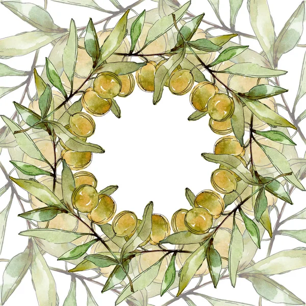 Cadre avec des olives vertes et feuilles aquarelle fond illustration ensemble. Aquarelle dessin mode aquarelle isolé . — Photo de stock