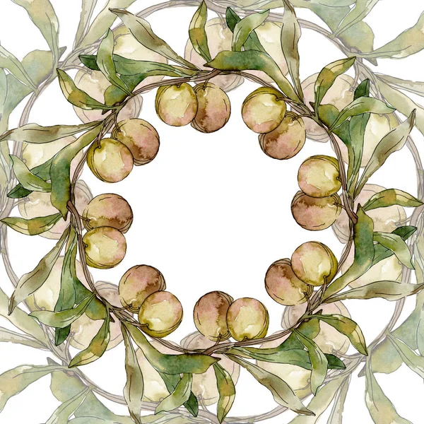 Cornice con olive verdi e foglie acquerello sfondo illustrazione set. Acquerello disegno moda acquerello isolato . — Foto stock