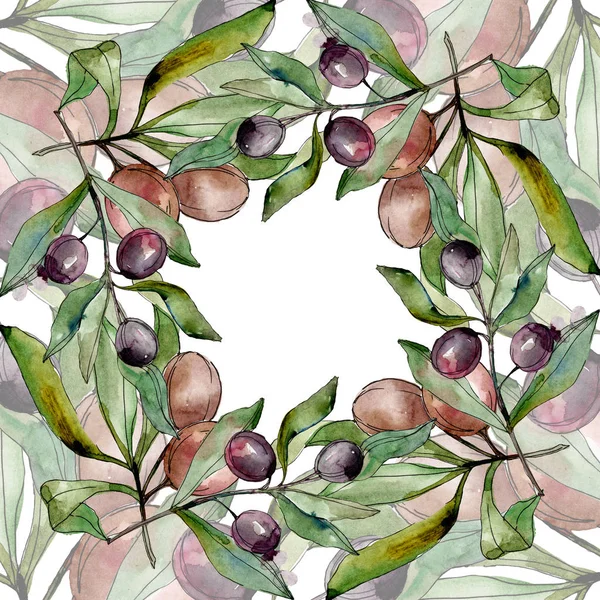 Frame with Black olives watercolor background. Watercolour drawing set. — Stock Photo