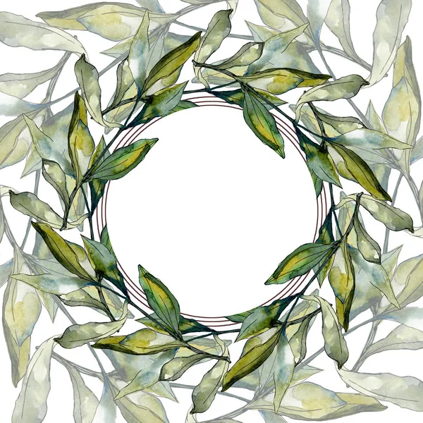 Rahmen mit schwarzen Oliven Aquarell Hintergrund. Aquarell-Zeichenset. — Stockfoto