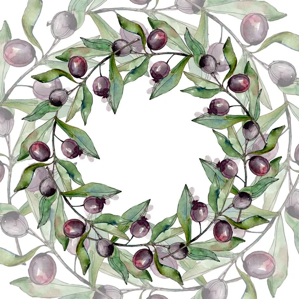 Frame with Black olives watercolor background. Watercolour drawing set. — Stock Photo