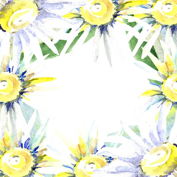 Frame with daisy flowers. Watercolor background illustration set. Watercolour drawing fashion aquarelle isolated. — Stock Photo