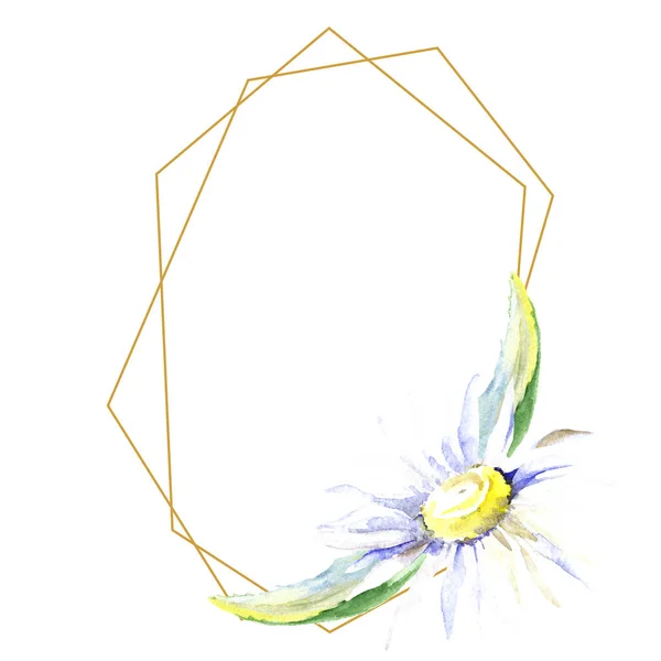 Frame with one daisy flower. Watercolor background illustration set. Watercolour drawing fashion aquarelle isolated. — Stock Photo