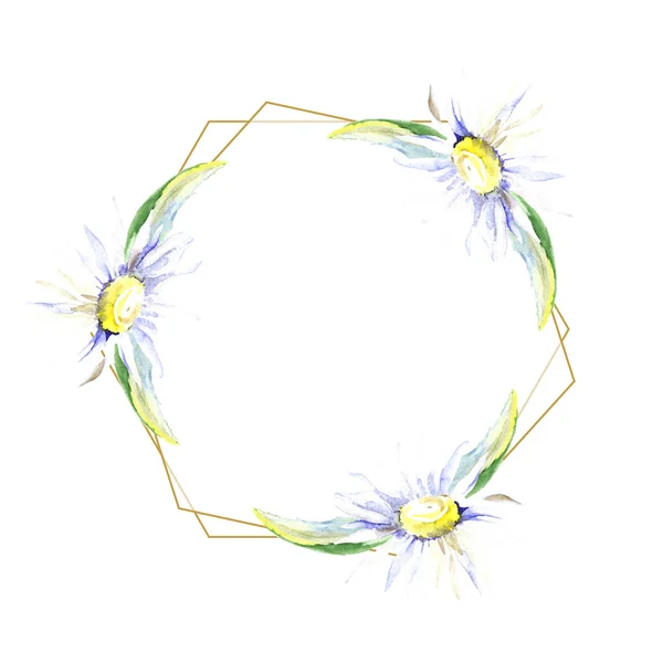 Rahmen mit Gänseblümchenblumen. Aquarell Hintergrundillustration Set. Aquarell Zeichnung Mode Aquarell isoliert. — Stockfoto