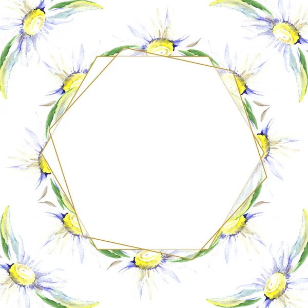 Каркас з ромашковими квітами. Набір ілюстрацій для акварельного фону. Акварельний малюнок моди акварель ізольовано . — стокове фото