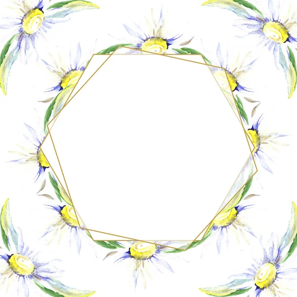 Cornice con fiori di margherita. Acquerello sfondo illustrazione set. Acquerello disegno moda acquerello isolato . — Foto stock