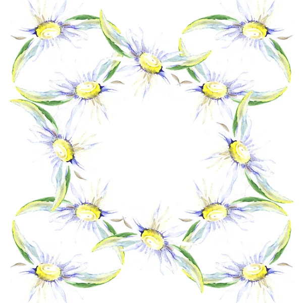 Cadre avec des fleurs de marguerite. Ensemble d'illustration de fond aquarelle. Aquarelle dessin mode aquarelle isolé . — Photo de stock