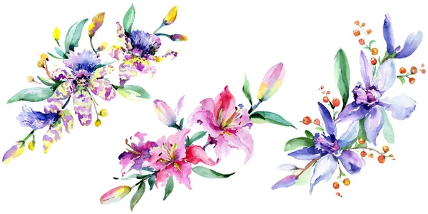 Orchidées roses et violettes. Ensemble d'illustration de fond aquarelle. Bouquet de fleurs aquarelle élément d'illustration . — Photo de stock