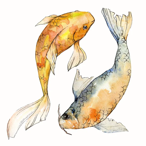 Aquarelle aquatique sous-marin coloré ensemble de poissons tropicaux. Mer Rouge et poissons exotiques à l'intérieur : Poisson rouge. Éléments Aquarelle pour fond, texture. Elément d'illustration isolé doré . — Photo de stock