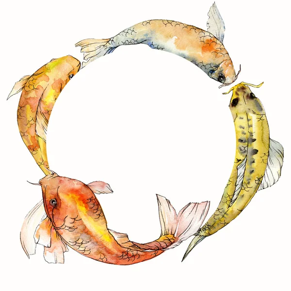 Акварельные акварельные подводные красочные тропические рыбы набор. Красное море и экзотические рыбы внутри: Золотая рыбка. Элементы Aquarelle для фона, текстуры, обёртки. Граничный орнамент . — стоковое фото