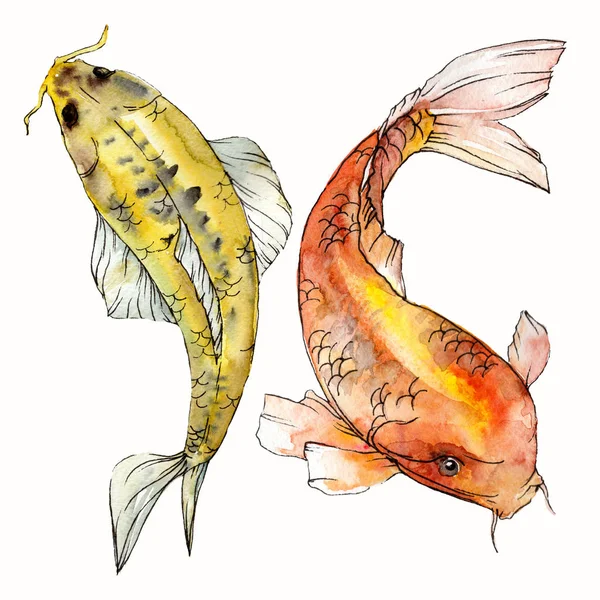 Watercolor aquatic underwater colorful tropical fish set. Red sea and exotic fishes inside: Goldfish. Aquarelle elements for background, texture. Isolated goldenfish illustration element. — Stock Photo