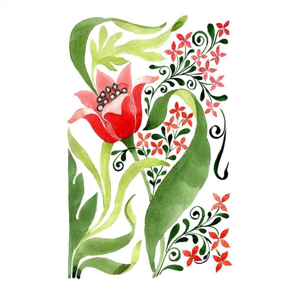 Red floral botanical flower. Wild spring leaf wildflower isolated. Watercolor background illustration set. Watercolour drawing fashion aquarelle isolated. Isolated ornament illustration element. — Stock Photo