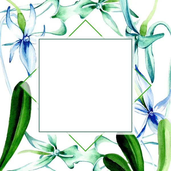 Orchidée rare bleue. Fleur botanique florale. Feuille sauvage de printemps fleur sauvage isolée. Ensemble d'illustration de fond aquarelle. Aquarelle dessin mode aquarelle isolé. Cadre bordure ornement carré . — Photo de stock