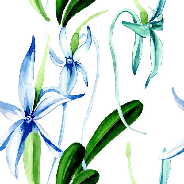 Blaue seltene Orchidee. Blütenbotanische Blume. wildes Frühlingsblatt. Aquarell-Illustrationsset vorhanden. Aquarellzeichnung Modeaquarell isoliert. nahtlose Hintergrundmuster. Stoff Tapete drucken Textur. — Stockfoto