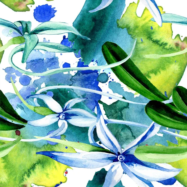 Orquídea rara azul. Flor botánica floral. Hoja de primavera salvaje. Juego de ilustración en acuarela. Acuarela dibujo moda acuarela aislado. Patrón de fondo sin costuras. Textura de impresión de papel pintado de tela . - foto de stock