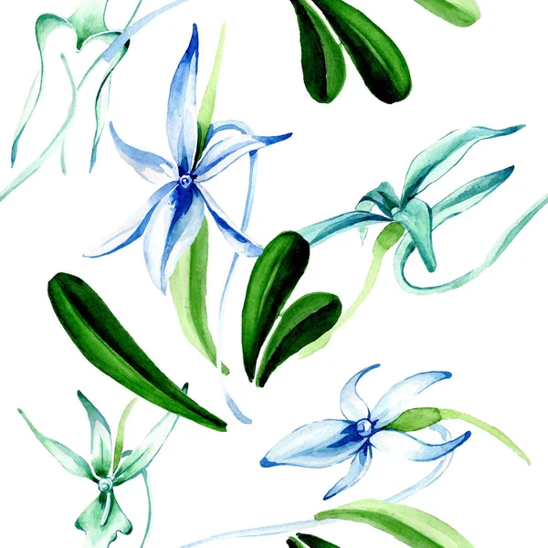 Blaue seltene Orchidee. Blütenbotanische Blume. wildes Frühlingsblatt. Aquarell-Illustrationsset vorhanden. Aquarellzeichnung Modeaquarell isoliert. nahtlose Hintergrundmuster. Stoff Tapete drucken Textur. — Stockfoto