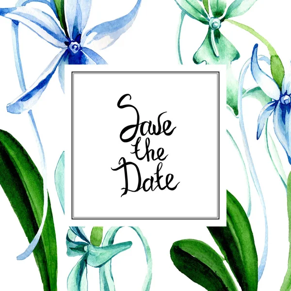 Orquídea rara azul. Flor botánica floral. Flor silvestre de hoja de primavera aislada. Conjunto de ilustración de fondo acuarela. Acuarela dibujo moda acuarela aislado. Marco borde ornamento cuadrado . - foto de stock