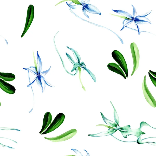 Orquídea rara azul. Flor botánica floral. Hoja de primavera salvaje. Juego de ilustración en acuarela. Acuarela dibujo moda acuarela aislado. Patrón de fondo sin costuras. Textura de impresión de papel pintado de tela . - foto de stock