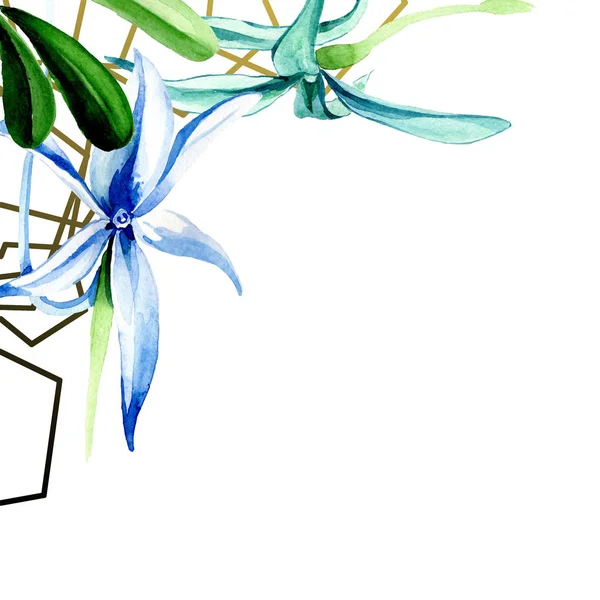 Orquídea rara azul. Flor botánica floral. Flor silvestre de hoja de primavera aislada. Conjunto de ilustración de fondo acuarela. Acuarela dibujo moda acuarela aislado. Marco borde ornamento cuadrado . - foto de stock