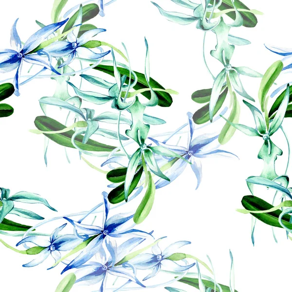 Orquídea rara azul. Flor botánica floral. Hoja de primavera salvaje. Juego de ilustración en acuarela. Acuarela dibujo moda acuarela aislado. Patrón de fondo sin costuras. Textura de impresión de papel pintado de tela . - foto de stock
