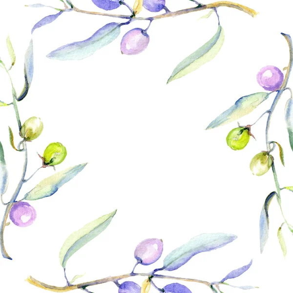 Olives watercolor background illustration set. Frame border ornament with copy space. — Stock Photo