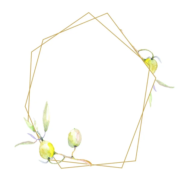 Olives aquarelle fond illustration ensemble. Cadre bordure ornement avec espace de copie . — Photo de stock