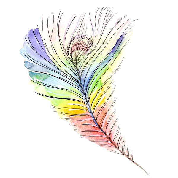 Красочное птичье перо из изолированного крыла. Перо аквареля для фона, текстуры. Набор акварельных фонов. Изолированная акварель акварель . — стоковое фото
