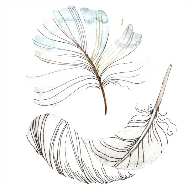 Weiße Vogelfeder vom Flügel isoliert. Aquarellfeder für Hintergrund, Textur. Aquarell Hintergrundillustration Set. Aquarell Zeichnung Mode Aquarell isoliert. — Stockfoto